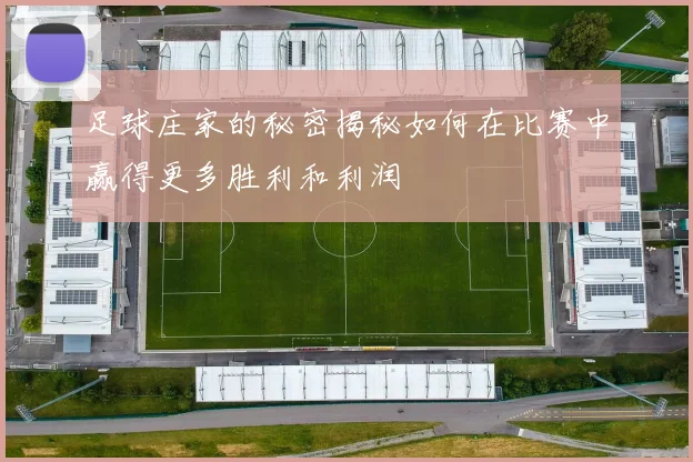 足球庄家的秘密揭秘如何在比赛中赢得更多胜利和利润