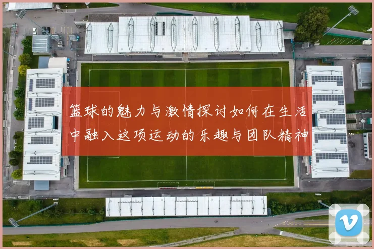 篮球的魅力与激情探讨如何在生活中融入这项运动的乐趣与团队精神